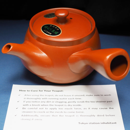 Japanese Tokoname Ware Kyusu Teapot 'Tokumushi' Daily Use Made in Japan, Aichi