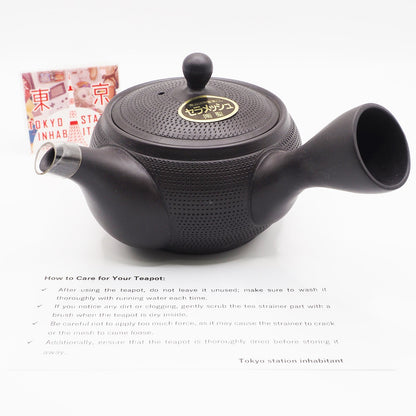 Japanese Tokoname Ware Kyusu Teapot 'Dark Gray Black Ceramesh' 300ml Made in Japan, Aichi