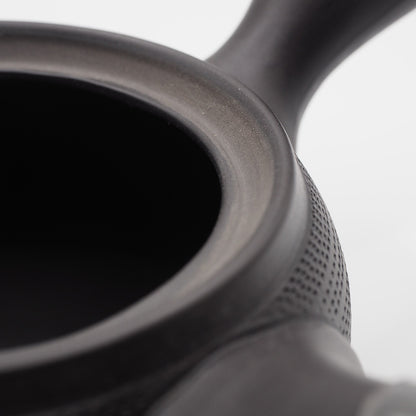 Japanese Tokoname Ware Kyusu Teapot 'Dark Gray Black Ceramesh' 300ml Made in Japan, Aichi